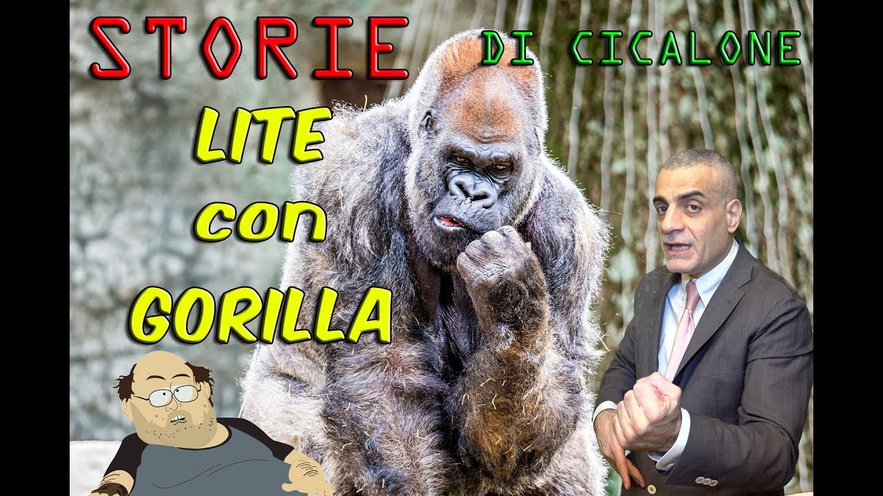 Lite con un Gorilla Vero