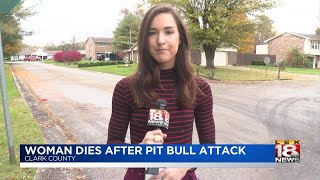 Woman Dies After Pit Bull Attack Wealth
