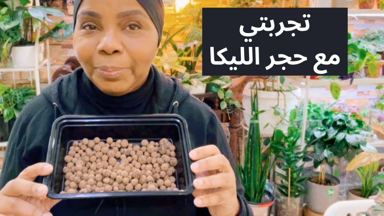 حجر الليكا وانواع التربة الجاهزة للنباتات