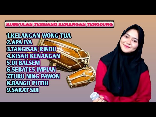 AAN ANISA - KUMPULAN LAGU TARLING KENANGAN | FULL ALBUM class=