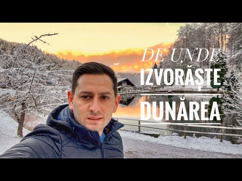 Video: Unde Sunt Pădurile Negre