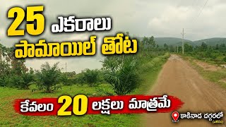 Andhra Pradesh Agriculture Land for Sale|Low Cost Land sale|₹20 Lakhs Per Acre @IsmartSriRealestate 