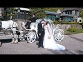 Stephanie & Ben - Highlight