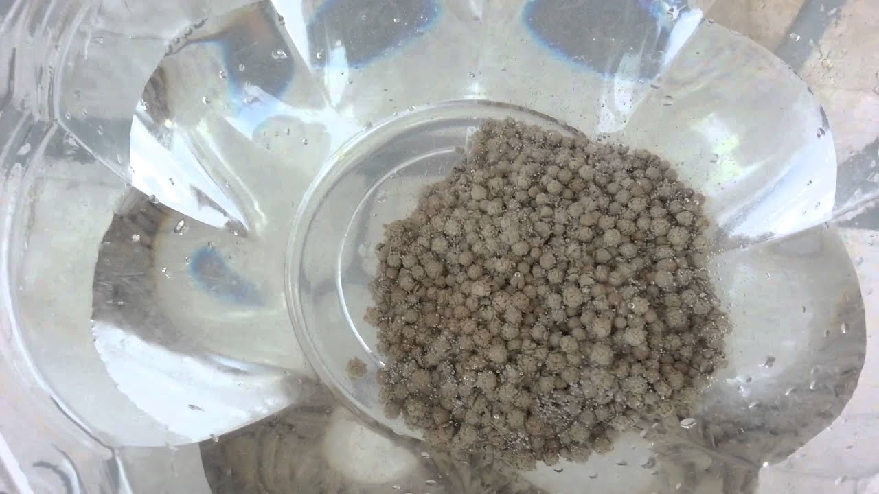 Silica gel in water Experiment YouTube