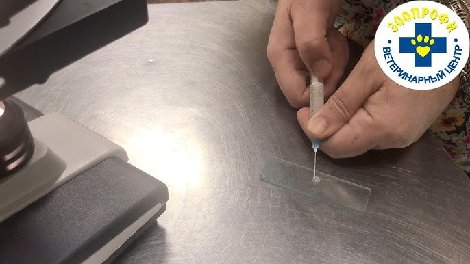 Jinsiy aloqada Sharq Yosh porno filmlarni tomosha qiling