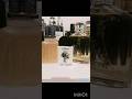 Picasso vs Lattafa vs Moschino 3 breezy airy aldehyde fresh frags #lataffa #moschino #picasso