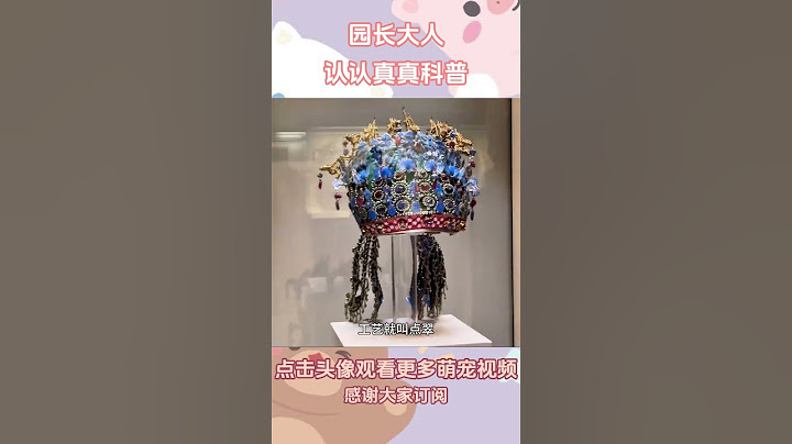 翠鸟，一只经常超速肇事的小鸟 #动物科普 #鸟类 #翠鸟