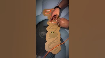 Te Ayudamos a Emprender con letreros neon Flex