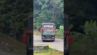 Ganteng Maksimal ‼️ Po.Haryanto Berbody Rexus Pialamas #poharyanto screenshot 4