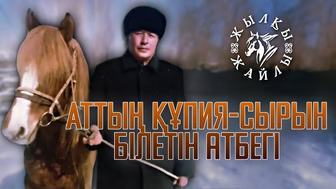 Ақшаға арналған қоғамдық порно