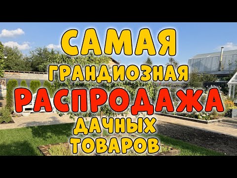 Дни всемирного шоппинга для дачников – отличные цены на любимые бренды. Садовые новости 9.11.2022