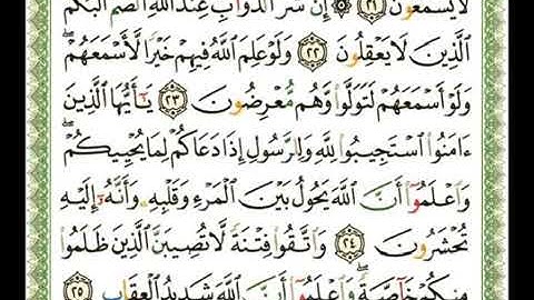 سورة الأنفال 8 - 114 ناصر القطامي - قراءة مرتلة