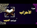 القران الكريم بصوت الشيخ أيمن أحمد الديب سورة الأحزاب القران الكريم بصوت الشيخ أيمن أحمد الديب سورة الأحزاب
