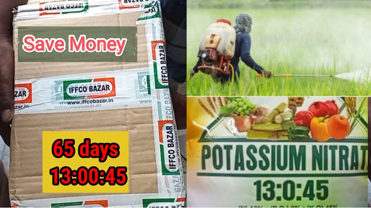 12 61 00 Npk Iffco 12 61 00 Npk Iffco