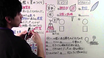 理科