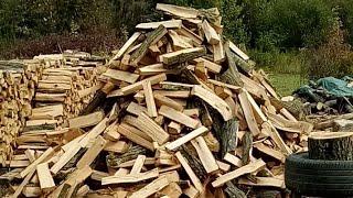 hand splitting oak with a tire faster then a wood splitter?? #firewood #pennsylvania #oak