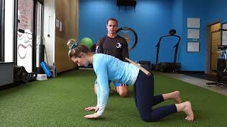 Quadruped Limb Lifts (Contralateral)