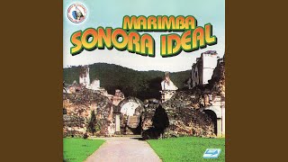 Video thumbnail of "Marimba Sonora Ideal - El Garañon"