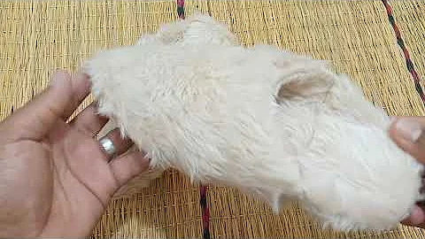 Babouches Fourrées : L'Élégance et le Confort Traditionnels !