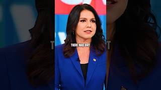 Joe Rogan Reacts to Tulsi Gabbard ROASTING Kamala Harris