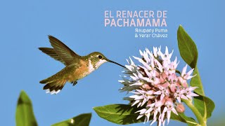 Música Espiritual - El Renacer de PACHAMAMA - Ñaupany Puma &amp; Yerar Chávez