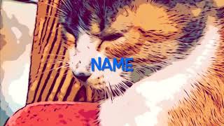 NOISEMAKER「NAME」ギター弾いてみた【くっきー】