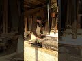 wood cutting skill 🪵🌲🌴"Transforming Timber: Precision Woodworking Tips"