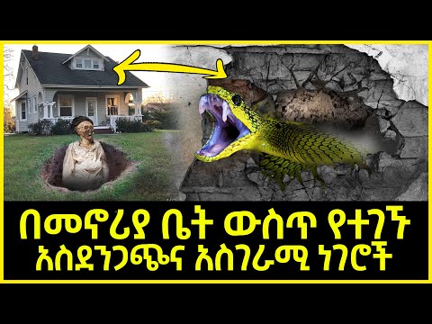 ቪዲዮ: በመኖሪያ ቦታ ኦካታን እንዴት እንደሚገነዘቡ