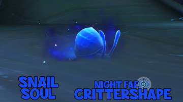 WoW Shadowlands 9.2 - Snail Soul | Night Fae Crittershape
