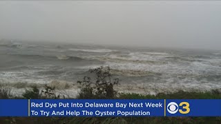 Part Of The Delaware Bay Will Turn Blood Red Next Week