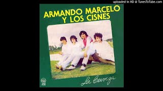 Video thumbnail of "Seleccion de huaynos_Armando Marcelo y los Cisnes"