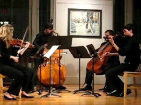 Musical Soiree - Dvorak