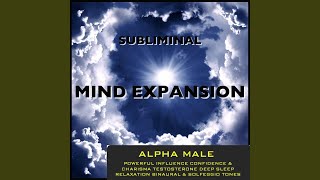 Drop The Inner Critic - Solfeggio 528 Hz