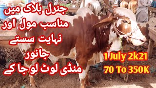 Munasib Keemat Or Nihayati Saste Janwar Jeneral Block Main Sohrab Goth Maweshi Mandi 1 July 2021