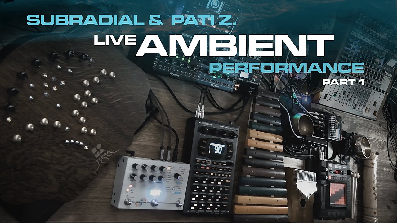 Subradial and Pati Z. - ambient performance with Terra, acoustic ...
