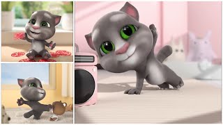 Sito Official Tiktok Chú Mèo Tom Siêu Quậy Và Siêu Dễ Thương Tiktok Hoạt Hình Cute