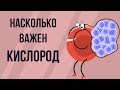 Короче говоря: насколько важен кислород