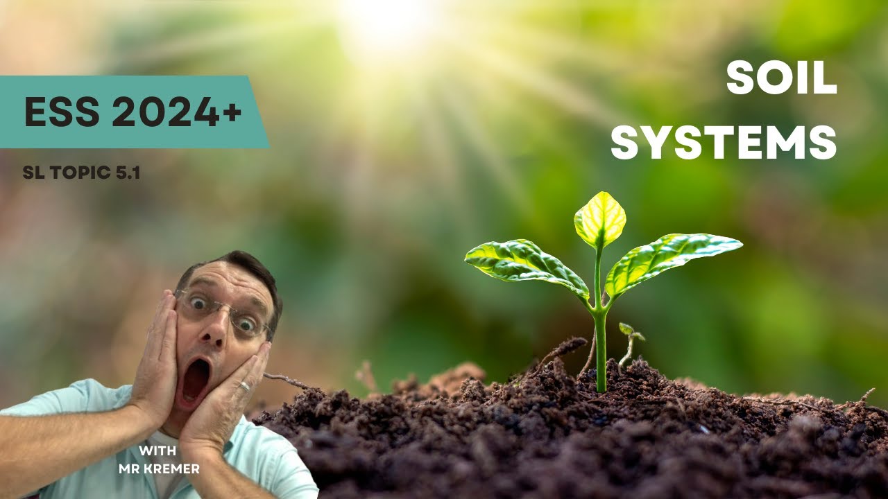 IB ESS SL Topic 5.1 Soils Exam Prep - You'll NEVER Look at Dirt the ...
