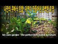 #469. 나만의 쿠바식 텃밭 - 자연이 만들어낸 완벽한 토양