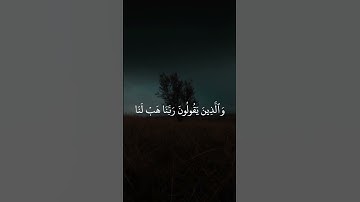 تلاوة خاشعة # القارىء عبد الرحمن الحميداني