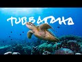 Where it all began  tubbataha reefs philippines  life uncharted ch01 documentary