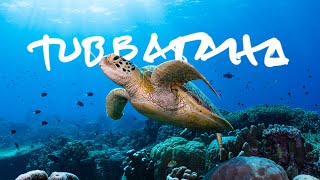 "Where it All Began" - Tubbataha Reefs, Philippines // Life, Uncharted Ch.01 [Documentary]