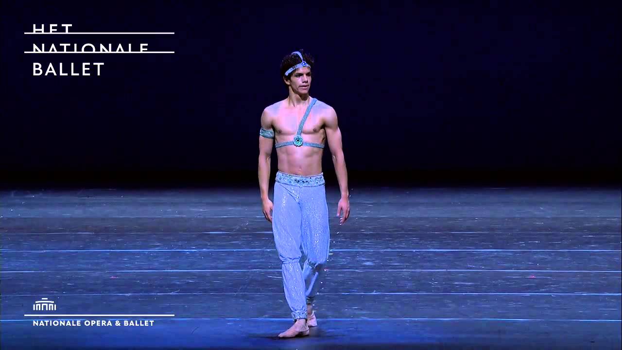 Corsaire PDD Gala 2014 Isaac Hernandez Jurgita Dronina