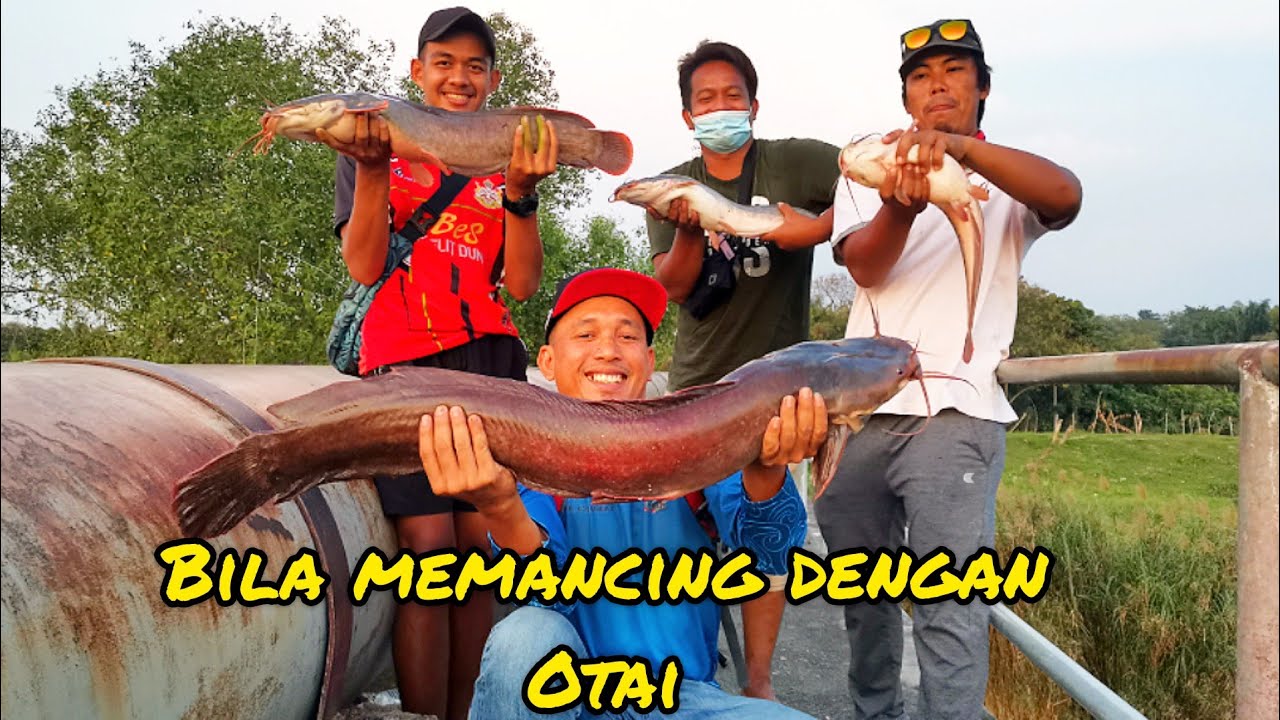 Badol Memancing Di Sungai Klang Bersama Kawan Baru//Keli Afrika//River Monster.