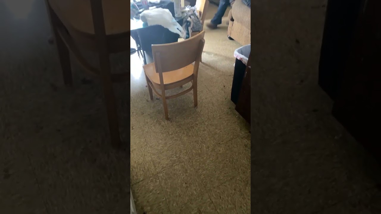 When you fed up nd put her and the dog out😂😂😂 #subscribe #funny #memphis #skit