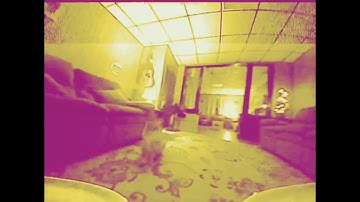 NewBeeDrone Hummingbird F4 Pro - First Rips n Clips