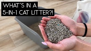 PETKIT 5 IN 1 MIXED CAT LITTER REIVEW | SVEN AND ROBBIE