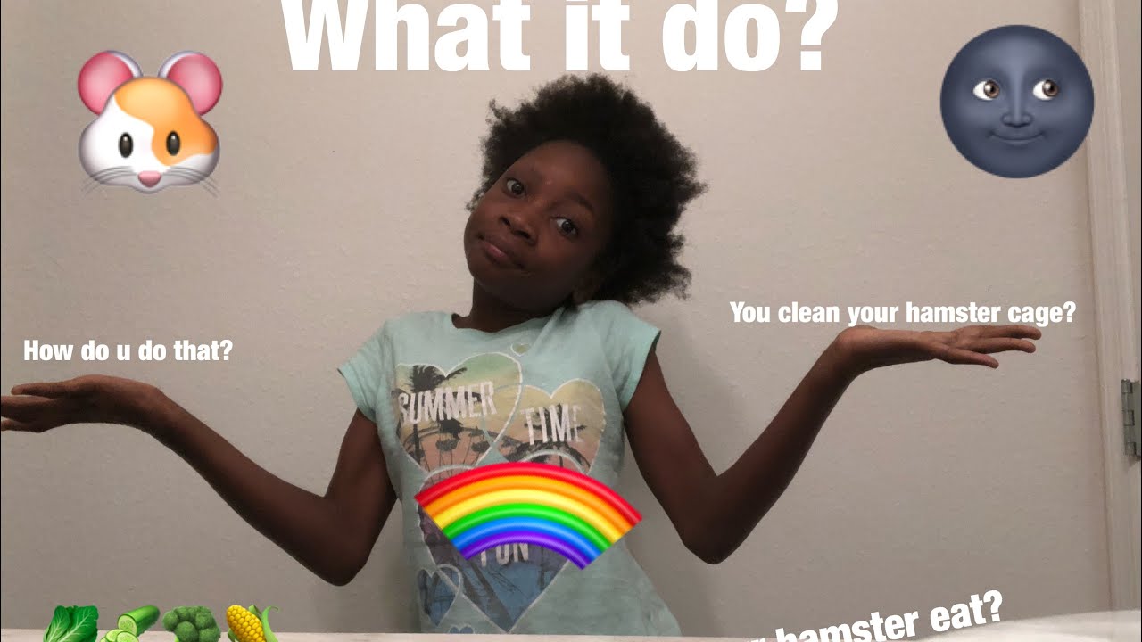 HOW I CLEAN MY HAMSTER CAGEWHAT MY HAMSTER EAT FOR HIS DIET 🙃 YouTube