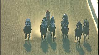 Laurel Park 11 29 2018 Race 8