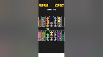 Ball sort level 1013